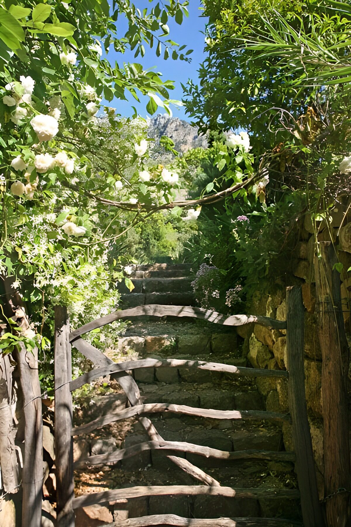 TPDE58857: Zaun mit Treppe hinauf und Gebüsch