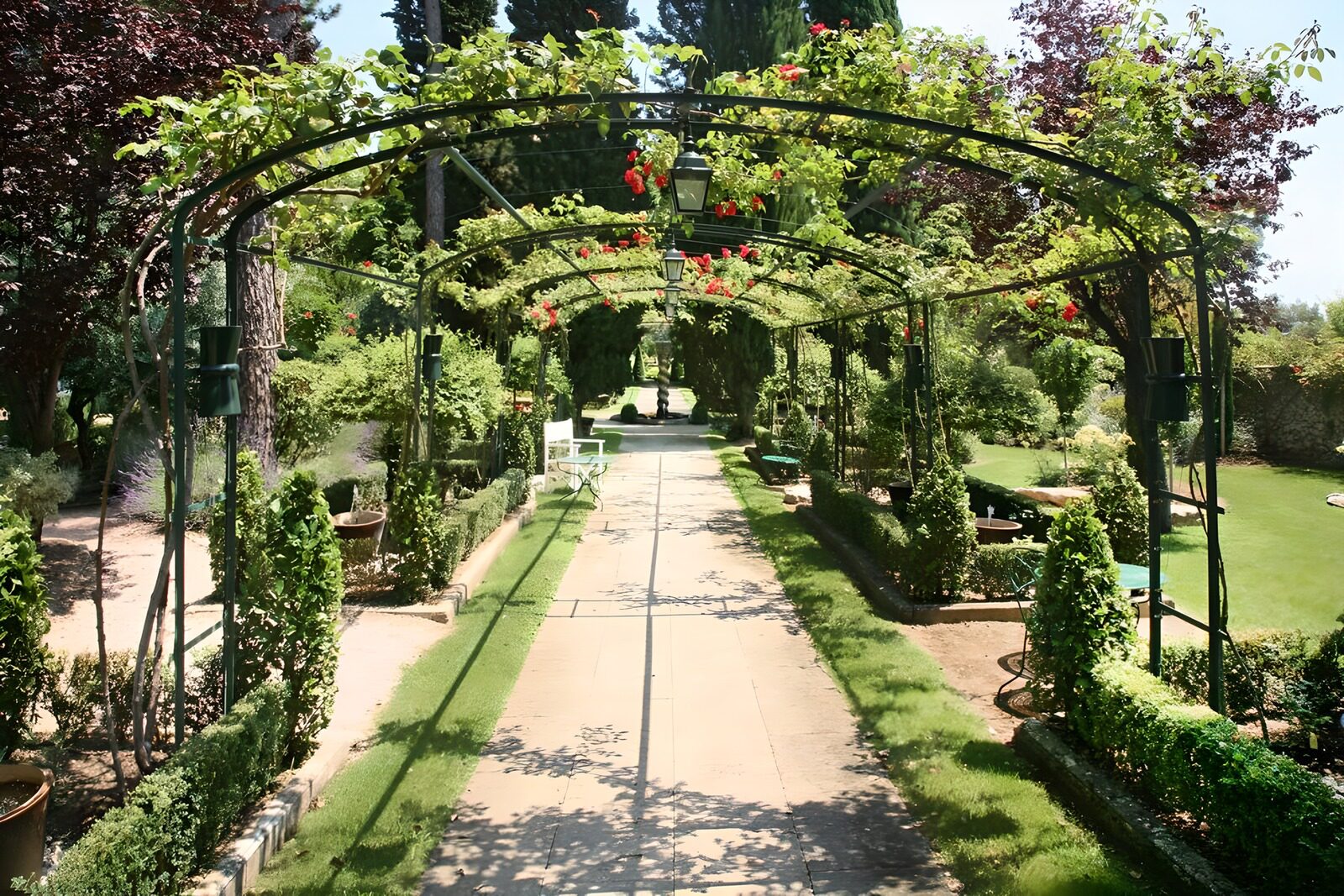 TPDE60990: Rosen am Spalier in einem französischen Garten Version 2