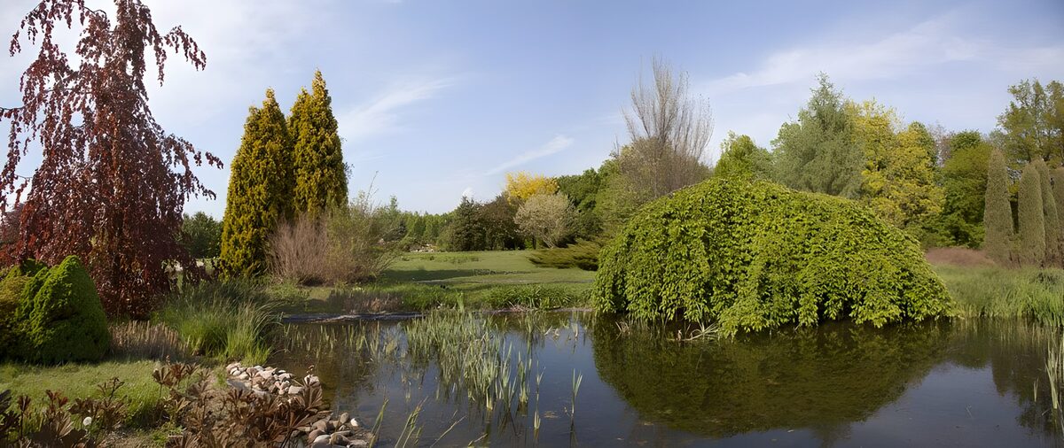 TPDE36941: die Gartenanlagen  mit einem Teich in Warschau
