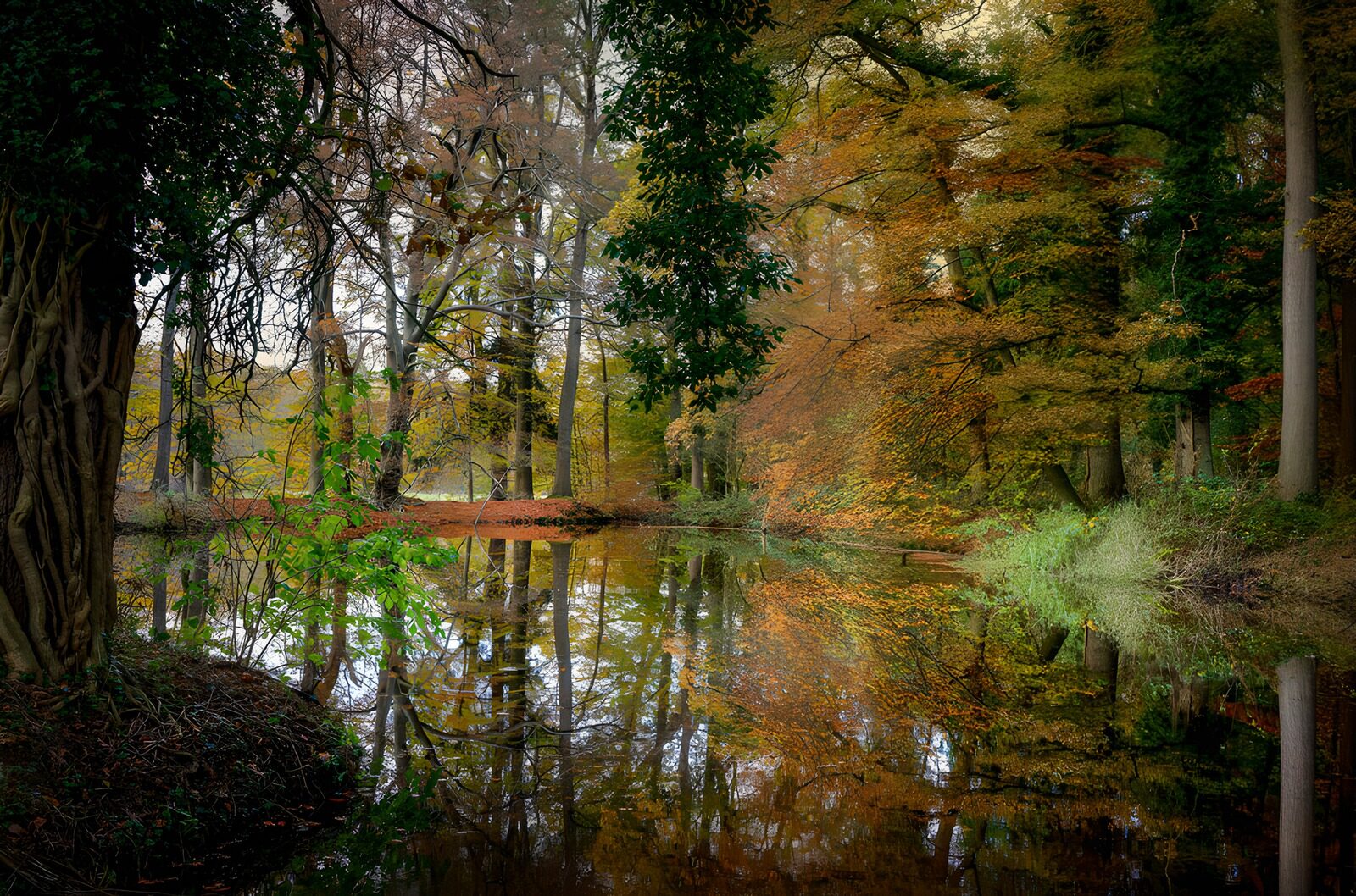 TPDE12727: Herbstliche Baumreflexionen im Teich