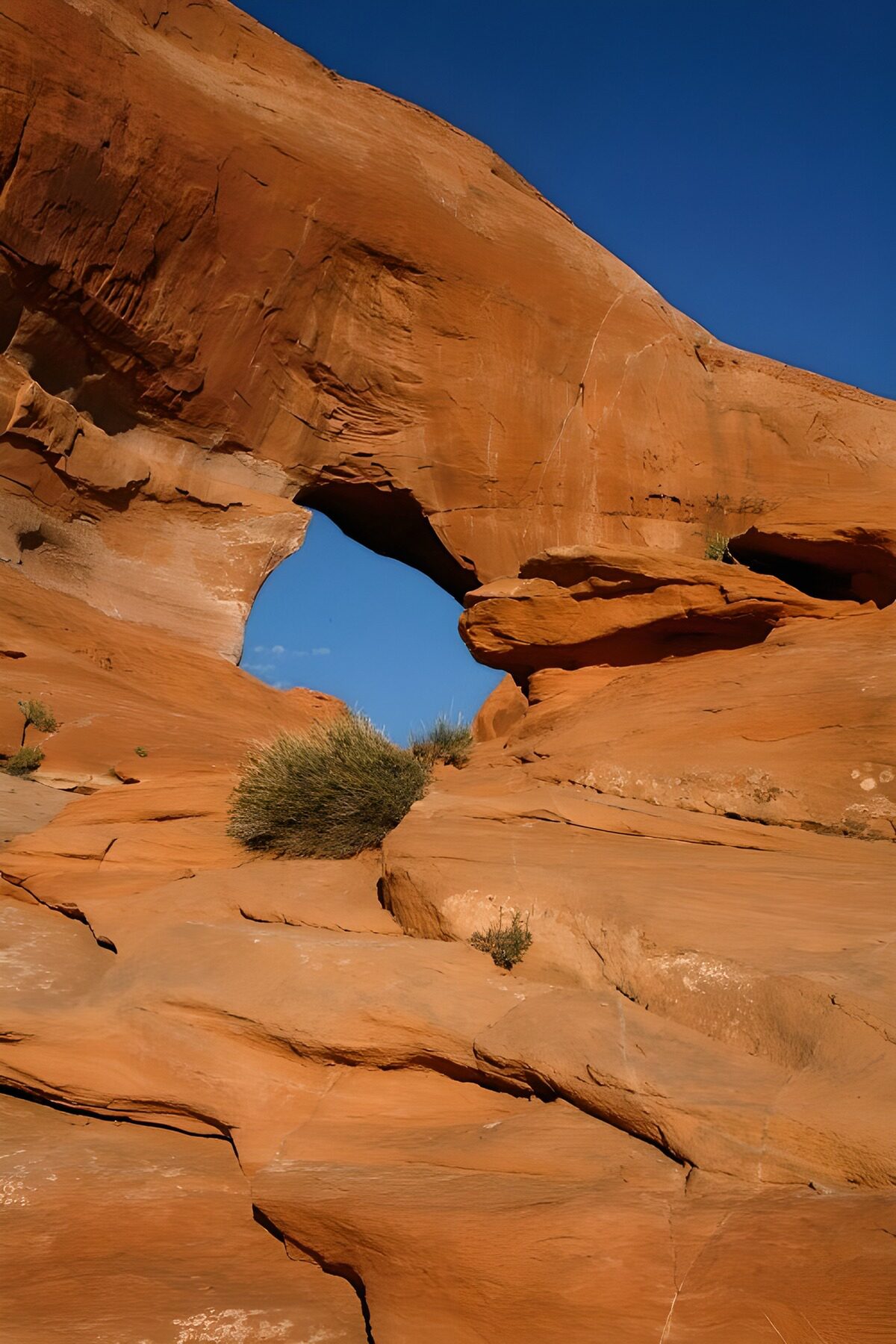 Sandsteinfelsen in Brauntönen in Arizona