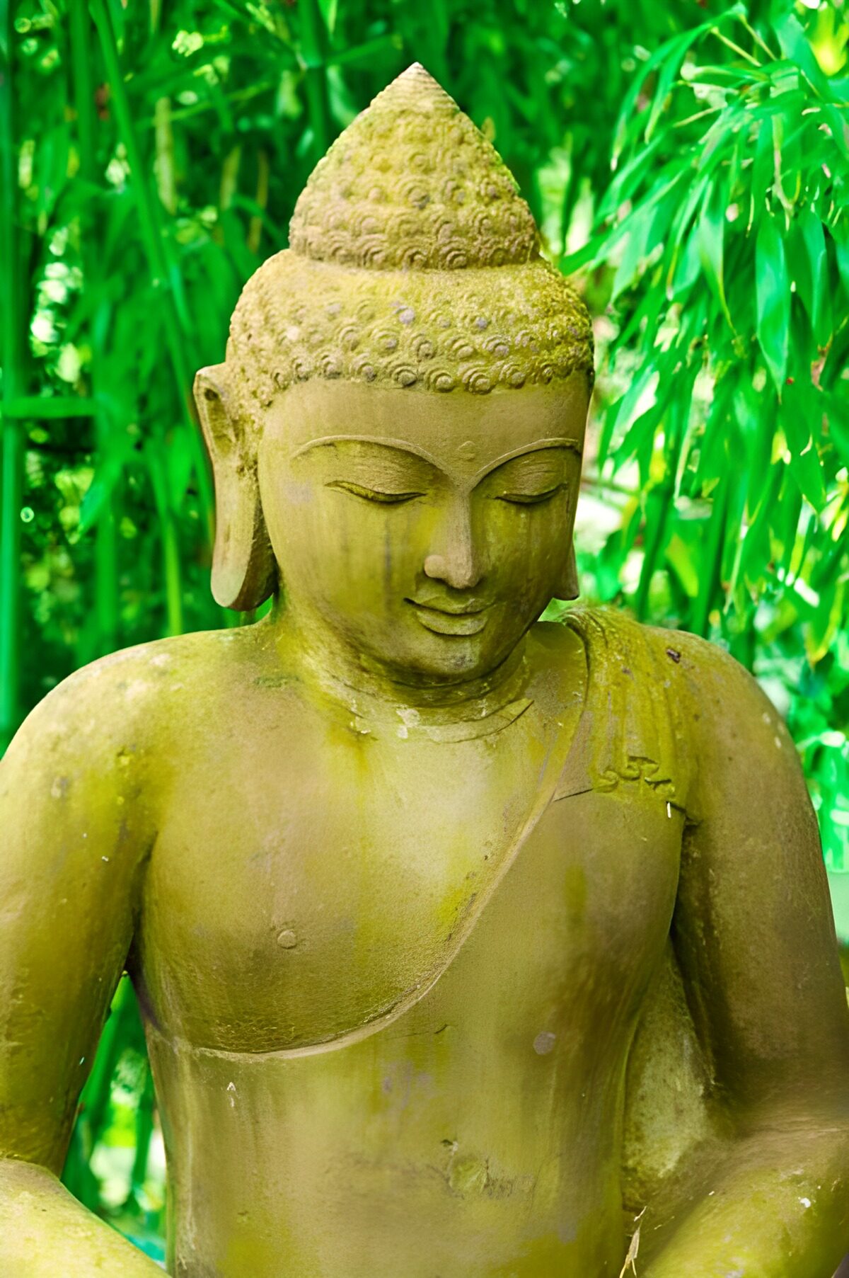 Buddha-Statue in gelb vor Schilf