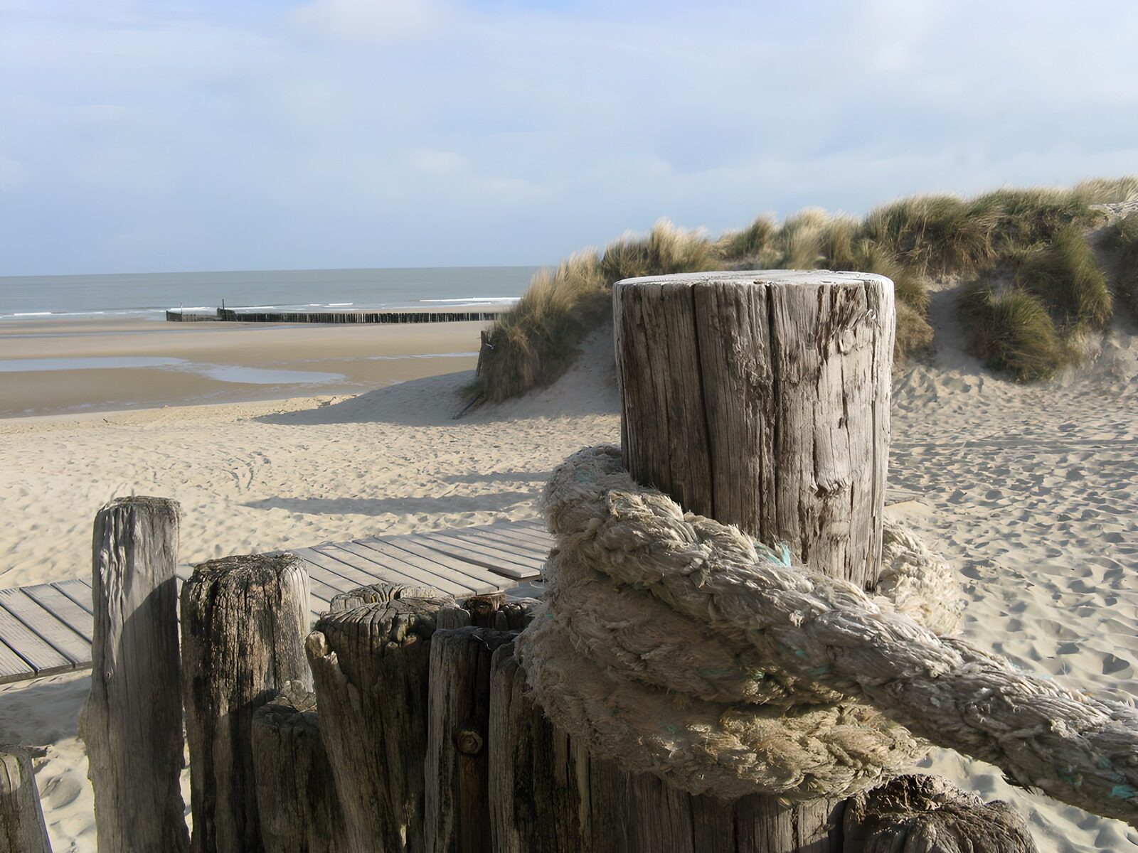 TPDE77056: Strand mit Seil und Holzpfählen