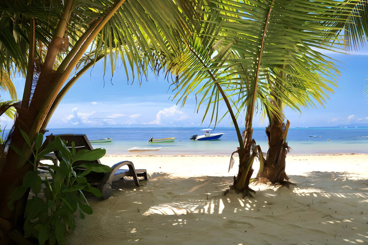 TPDE86935: Paradiesischer Strandblick mit Palmen