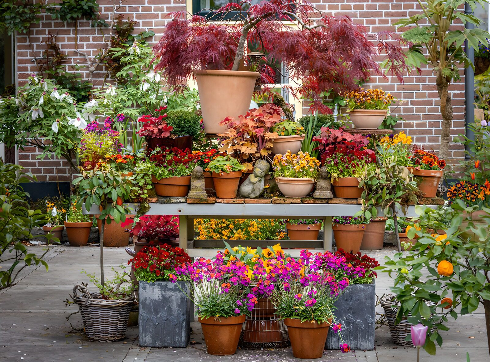 TPDE71600: Farbenfrohe Blütenpracht im Garten