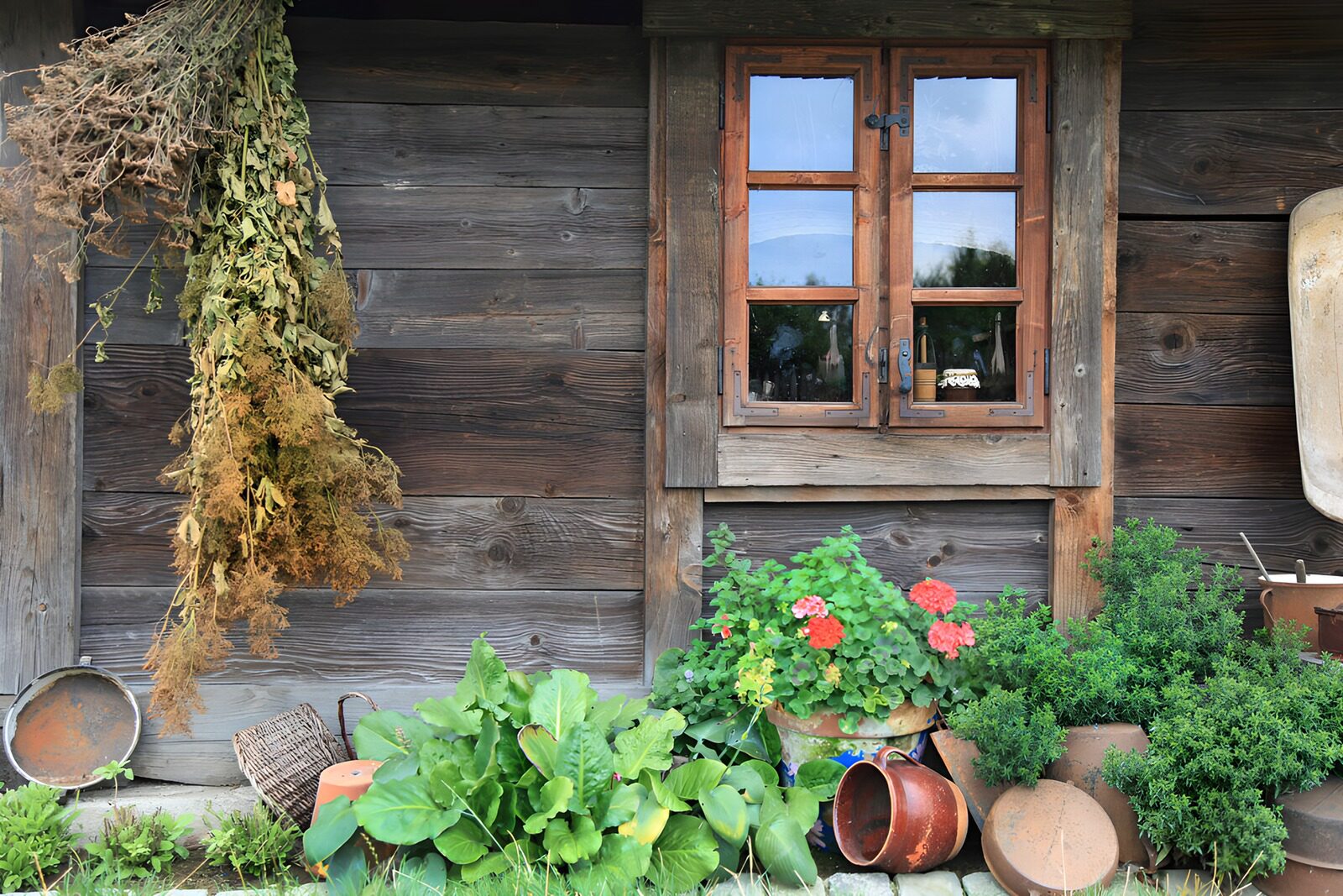 TPDE45563: Ländliche Fensterfront mit Kräutern