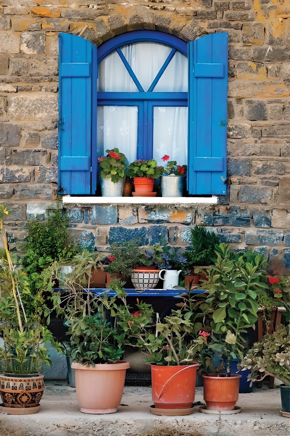 TPDE84118: Buntes Fenster mit Pflanzen