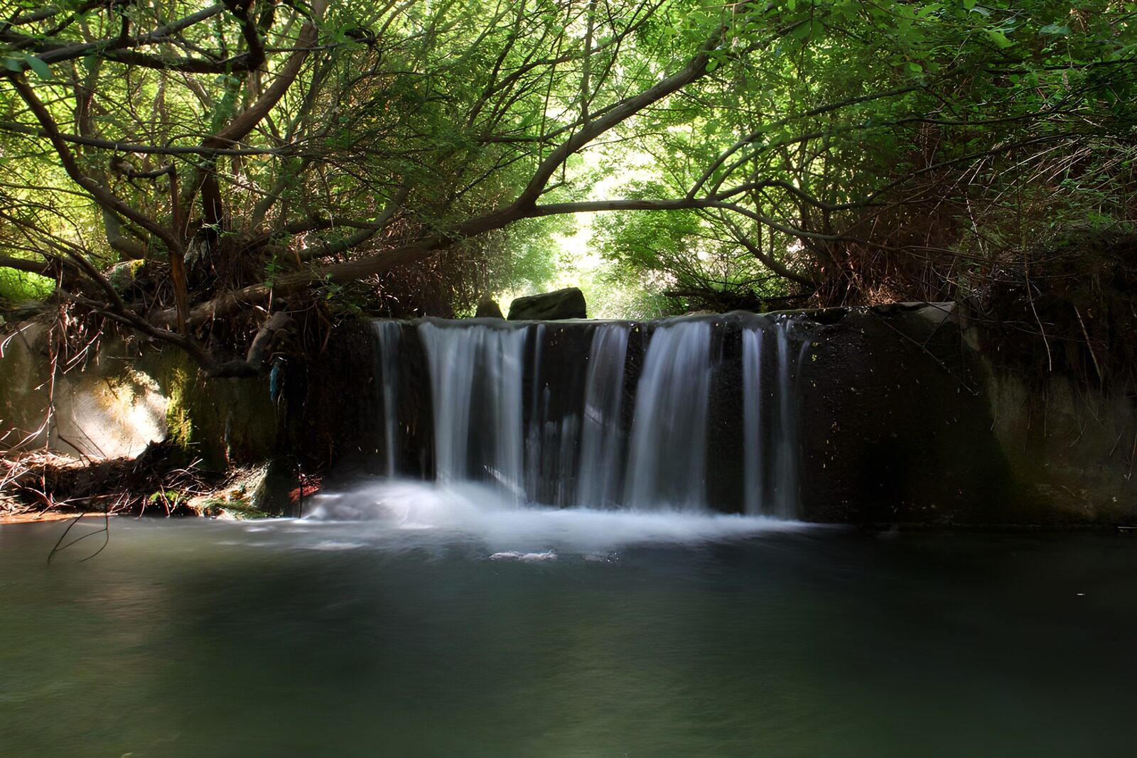 TPDE89622: ein Wasserfall im schattigen Wald
