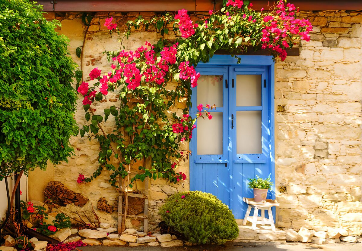 TPDE29307: Alte, mit Bougainvillea überwucherte Mauer
