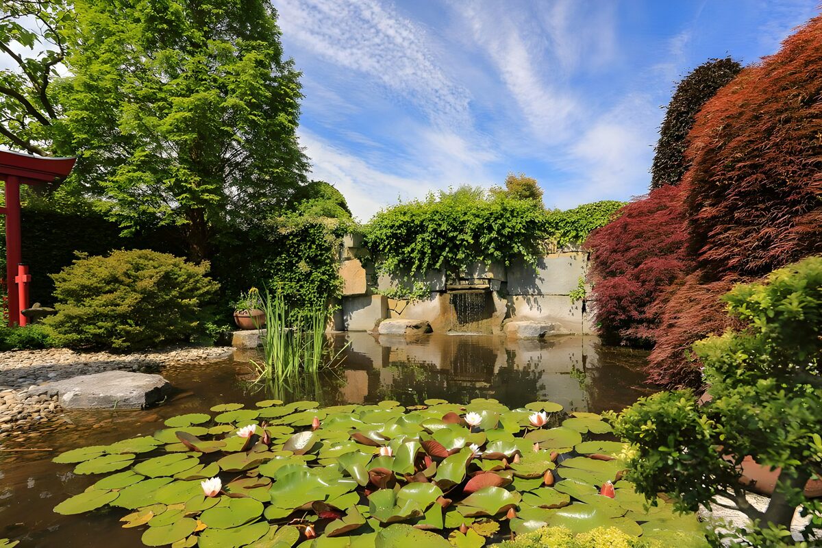 Stein, Wasser, Pflanzen die optischen Reize, die zu  einem echten japanischen Garten gehören