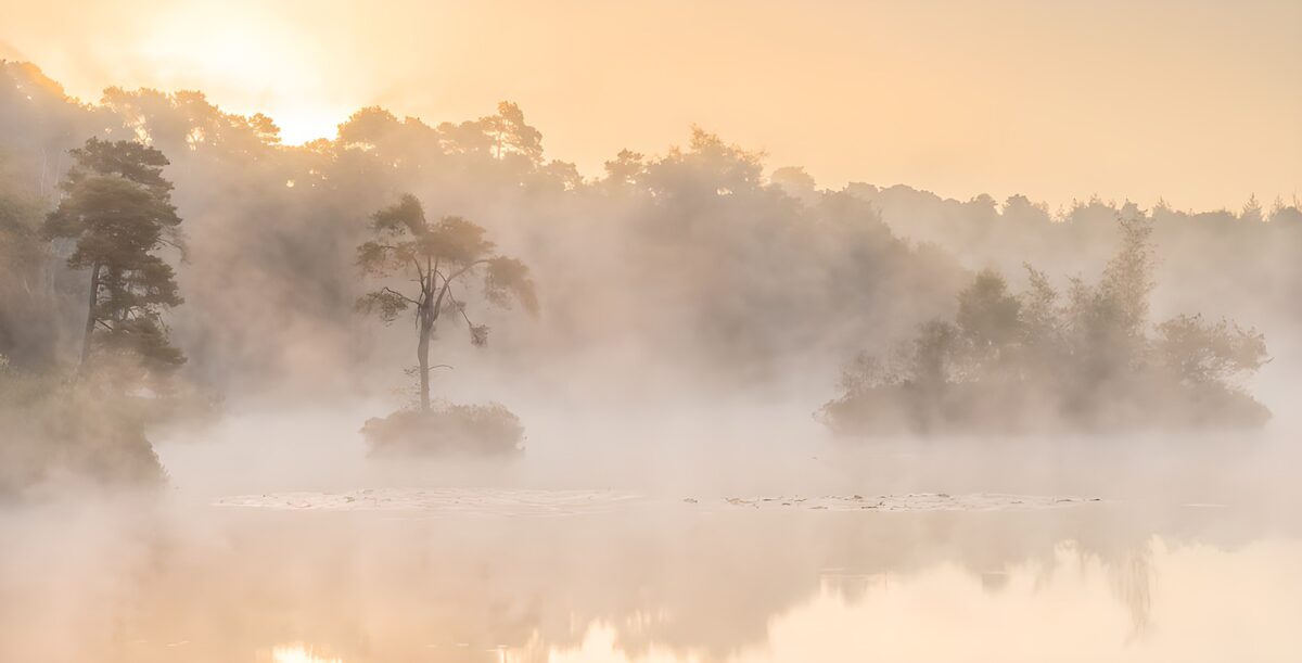TPDE22322: Neblige Morgenstimmung am See