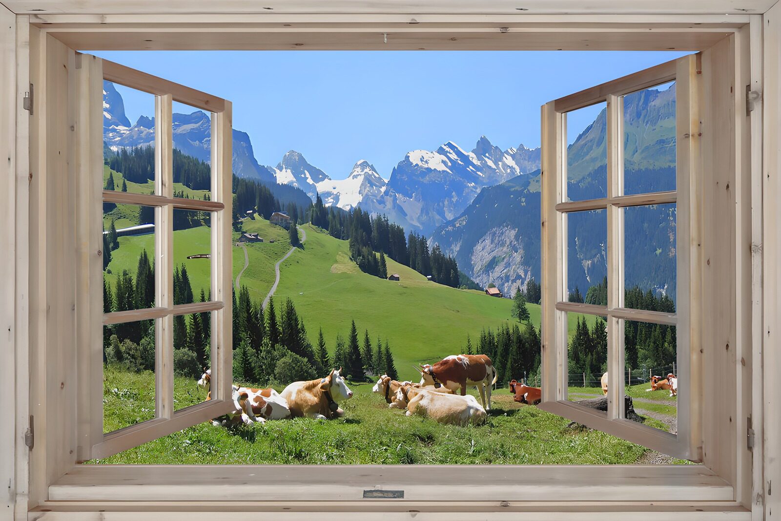 TPDE13032: Aussicht auf die Alpen mit Kühen