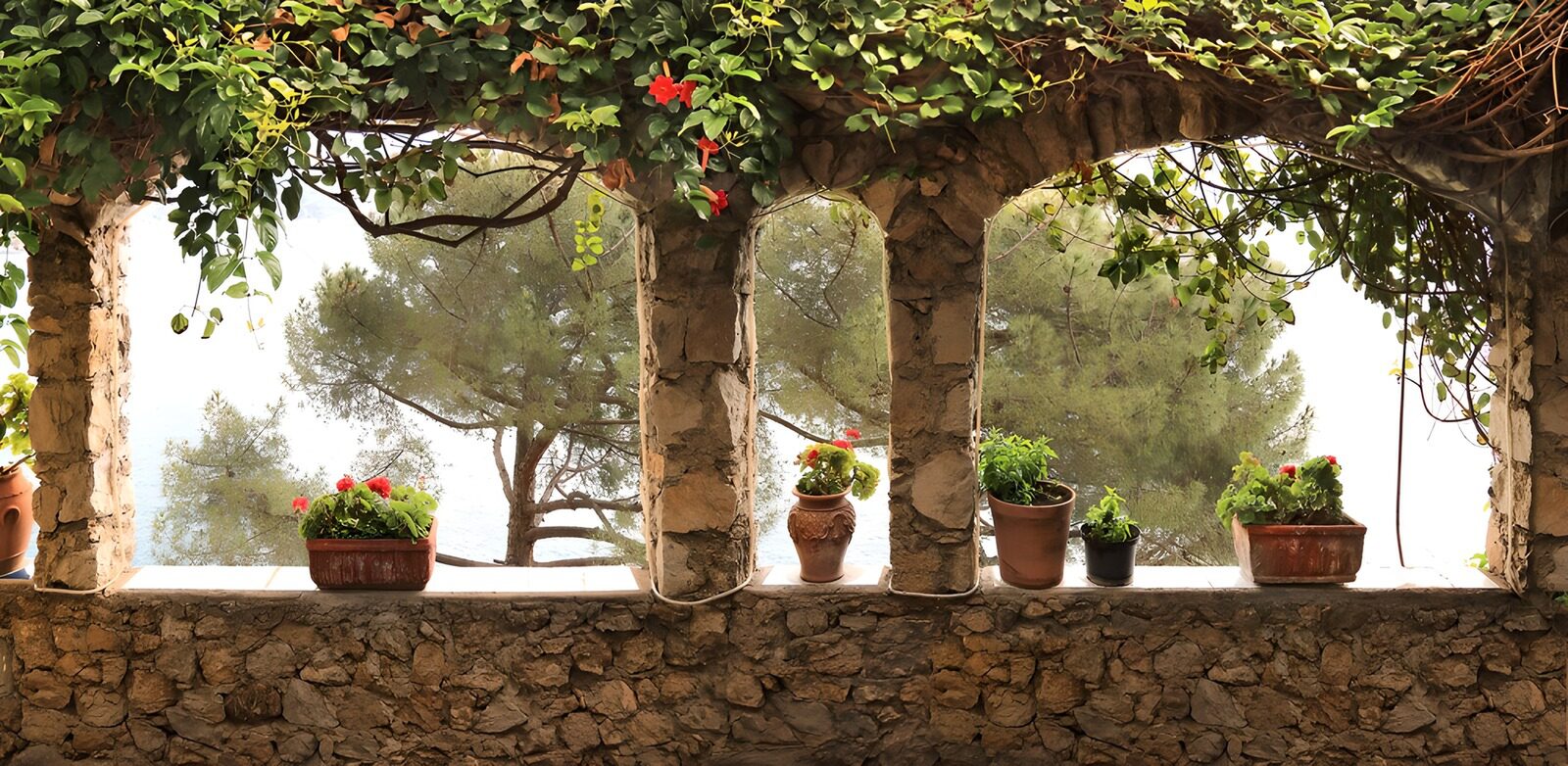 TPDE37869: Romantisches Fenster mit Pflanzenblick