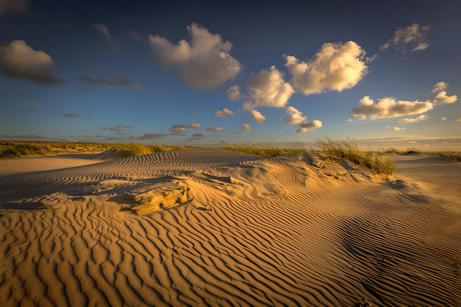 TPDE82077: Sanddünen im Abendlicht