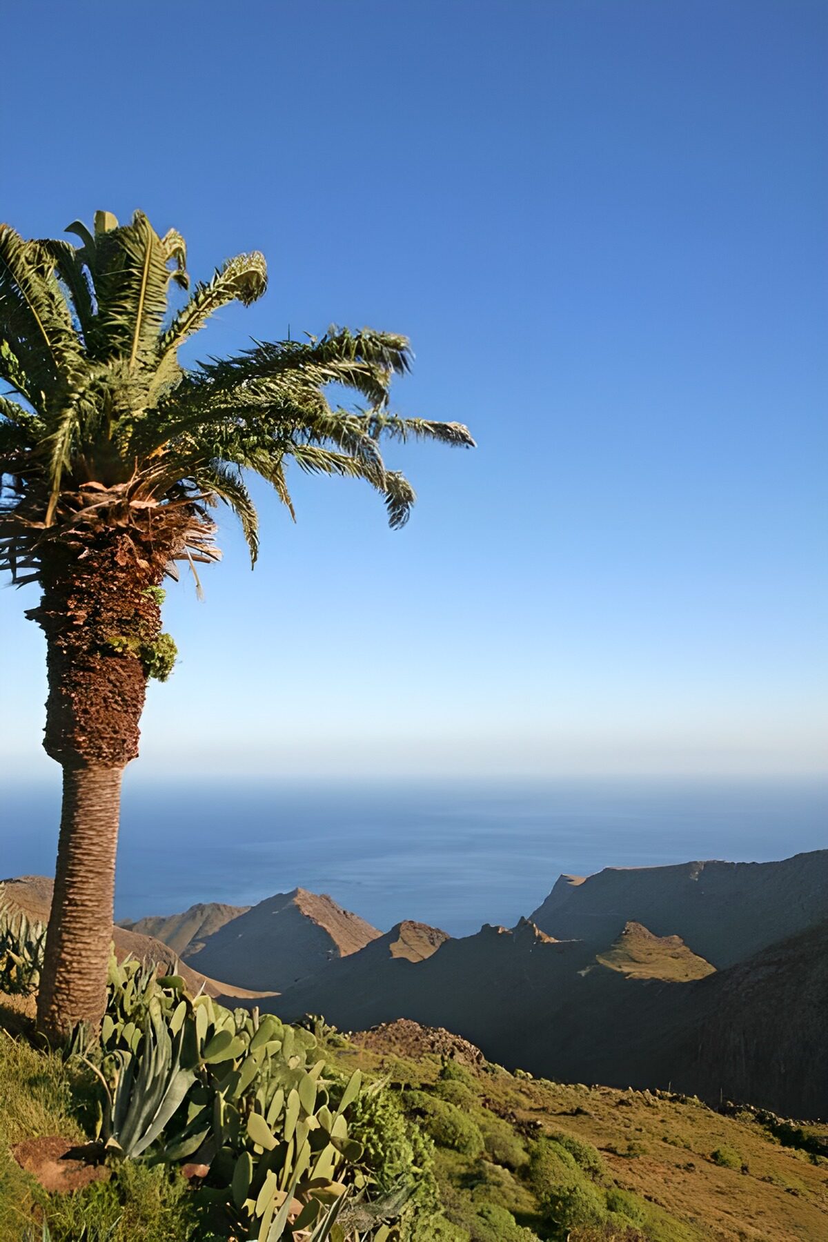 fantastischer Blick auf die Berge und das Meer auf La Gomera 27