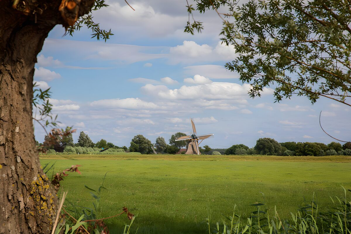 TPDE75710: Historische Mühle in malerischer Landschaft