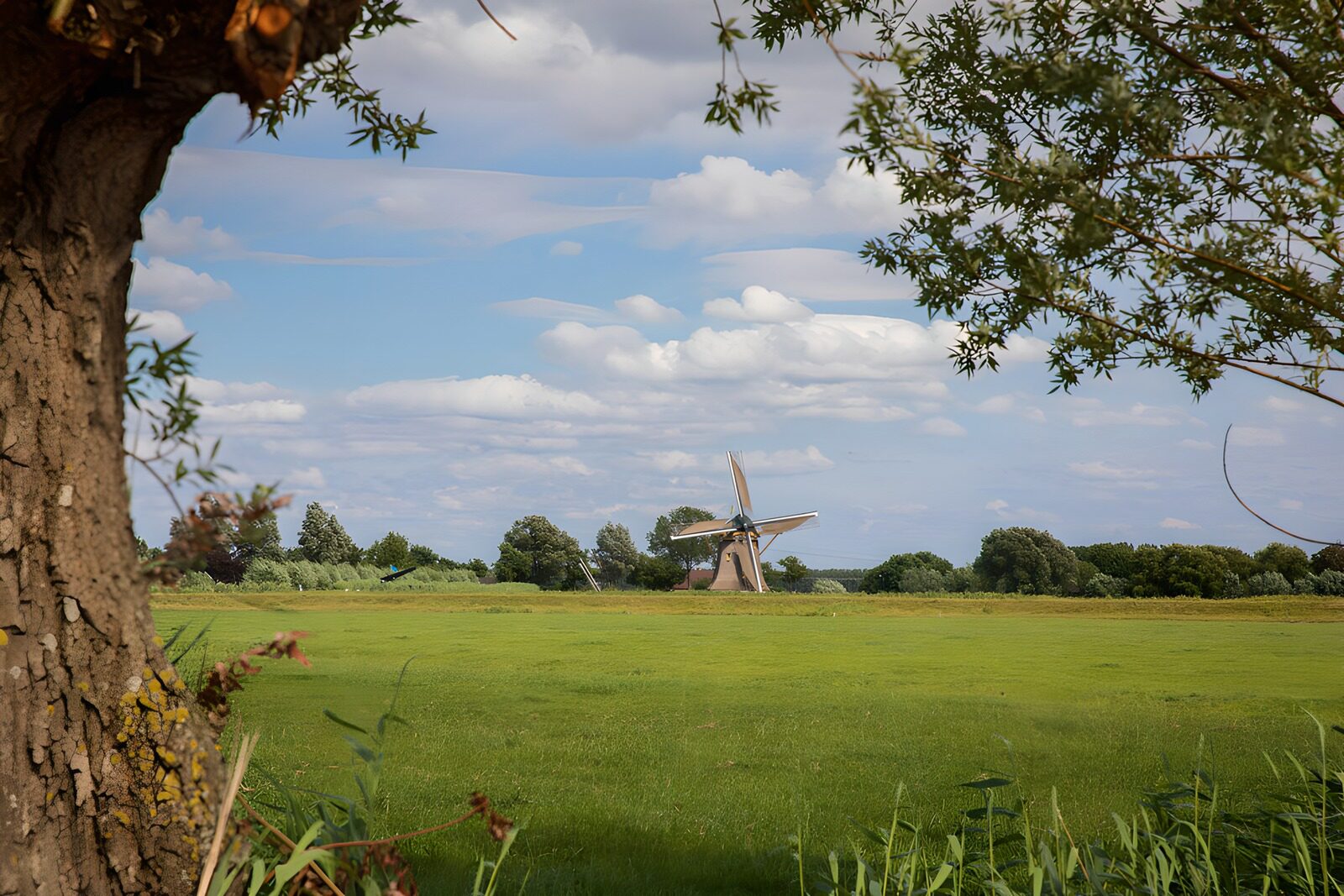 TPDE75710: Historische Mühle in malerischer Landschaft