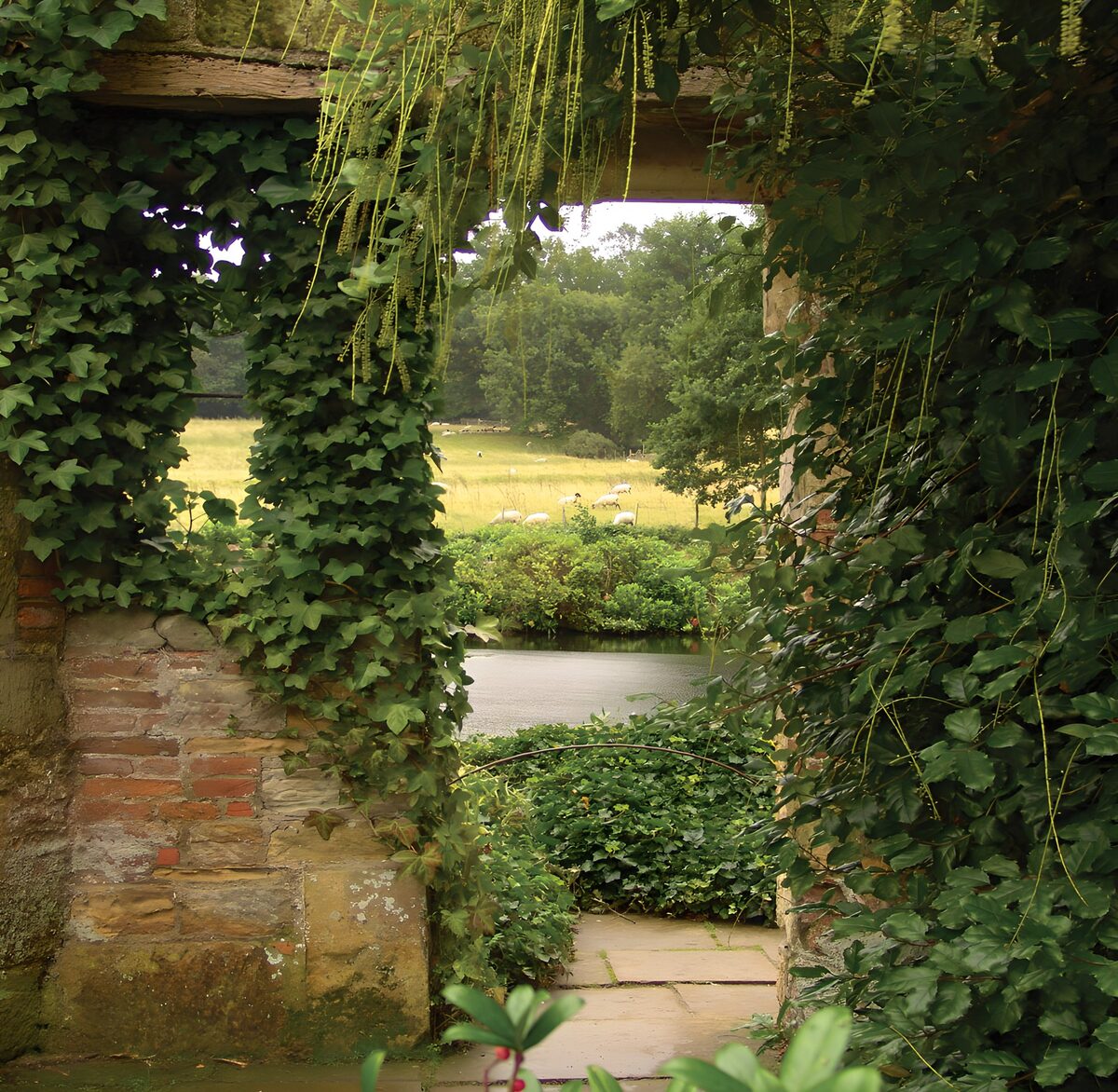 TPDE97487: Grüner Durchblick in die Natur