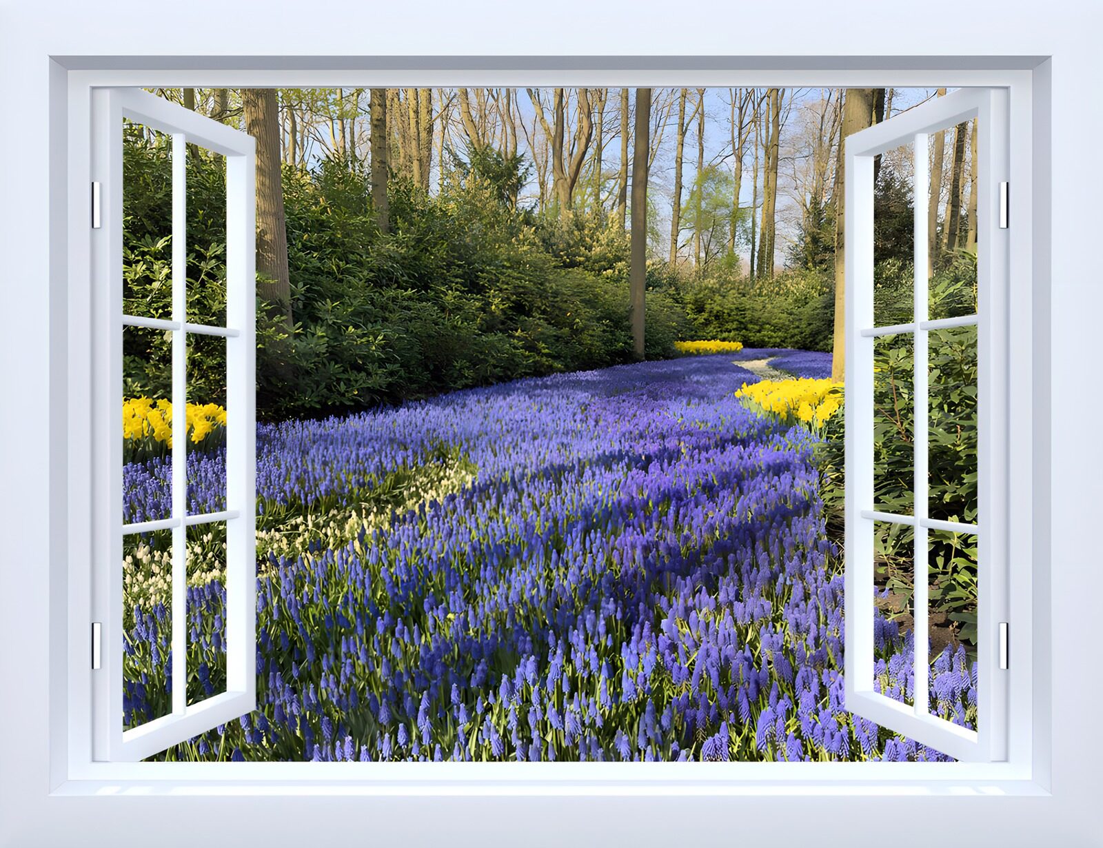 TPDE62183: Blühendes Gartenparadies im Fensterblick