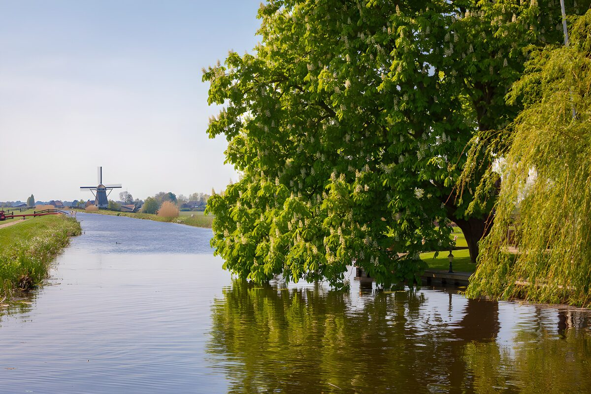 TPDE48229: Idylle in der deutschen Landschaft