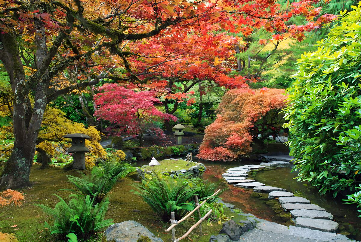 TPDE87366: Herbstzauber im japanischen Garten