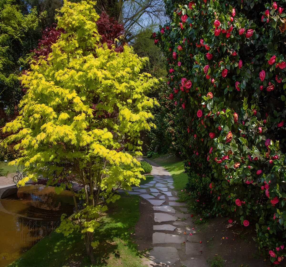Spazierweg durch einen japanischen Garten