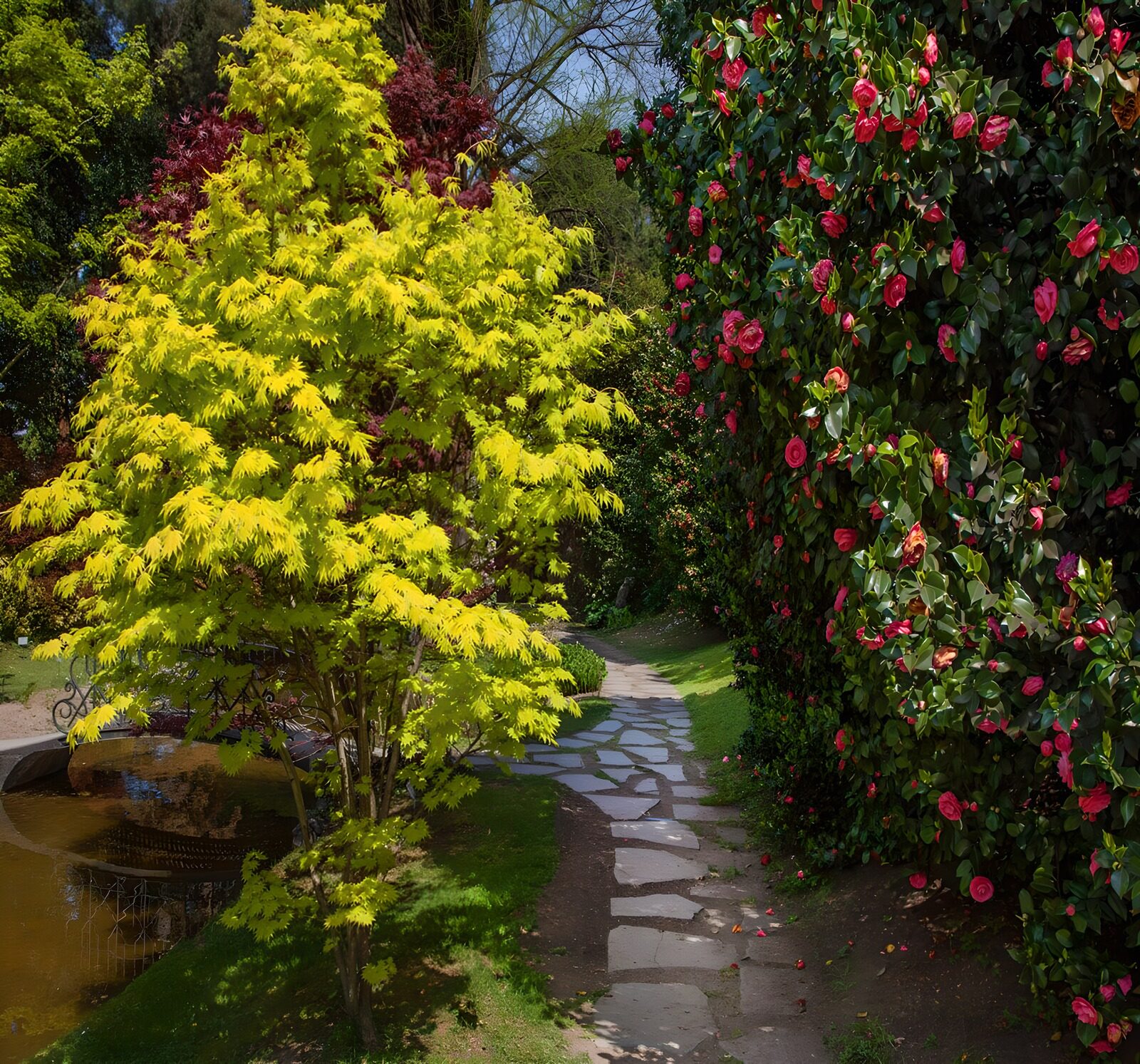 TPDE24019: Spazierweg durch einen japanischen Garten
