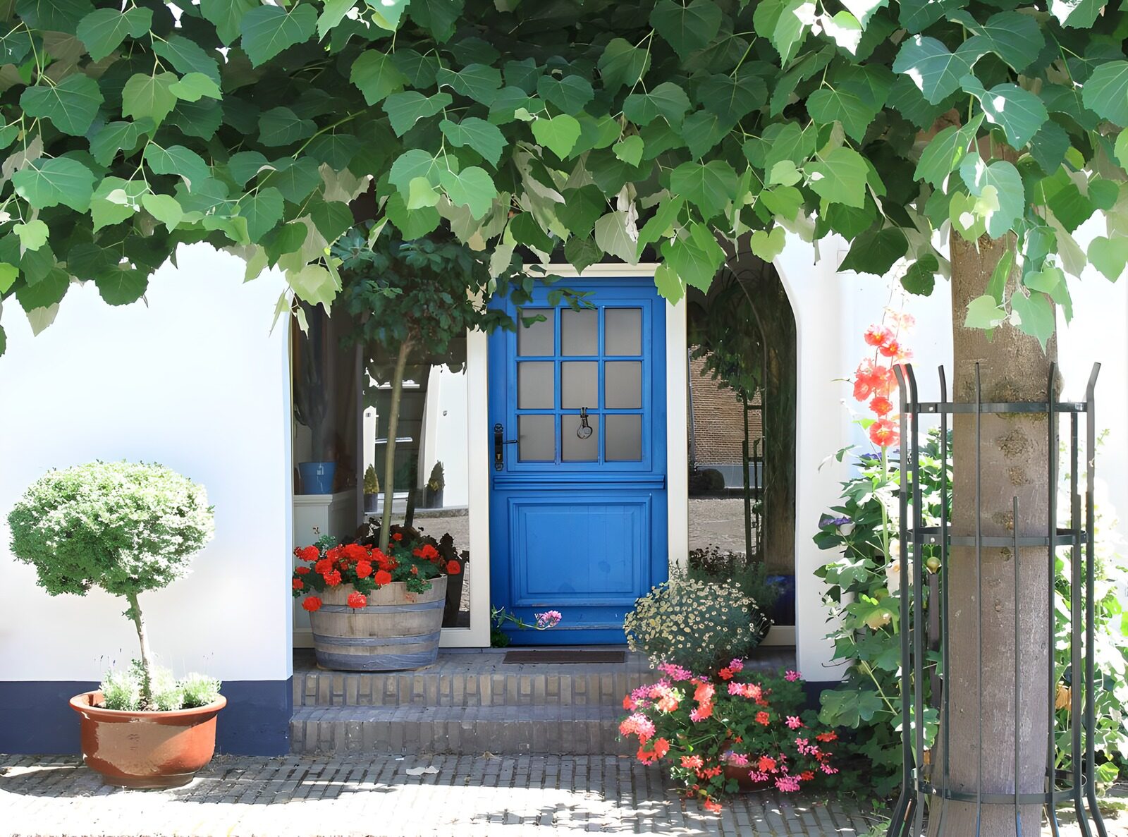 TPDE82834: Haus mit blauer Tür, Rebstöcken, unterschiedlichen Blumen und Pflanzen