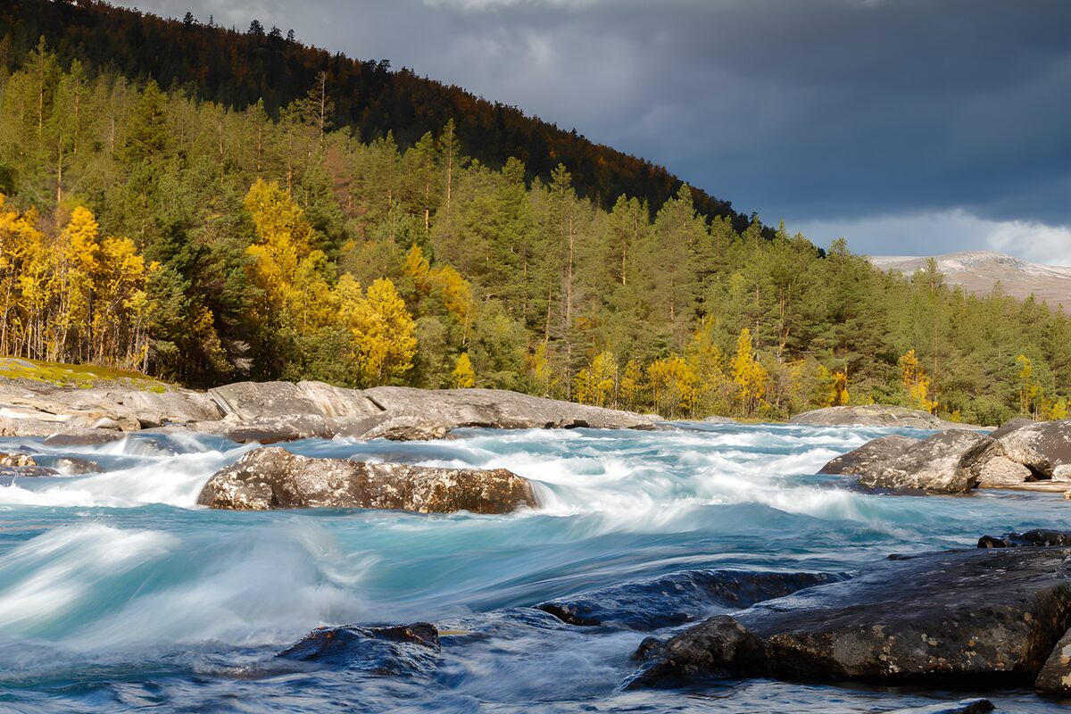 TPDE61507: „Der Fluss im Herbstlicht“