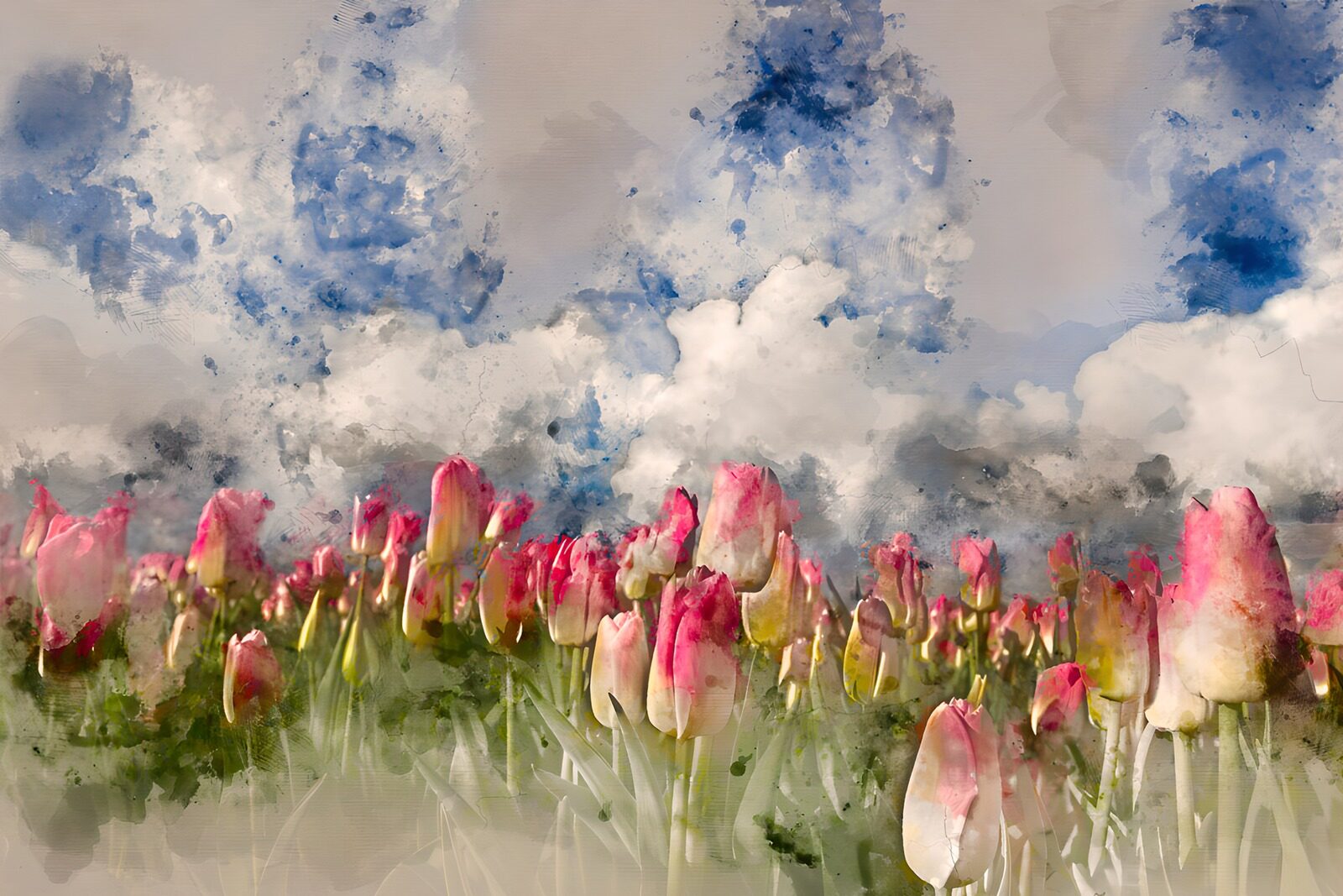 TPDE98352: Strahlende Tulpen im Wolkenhimmel