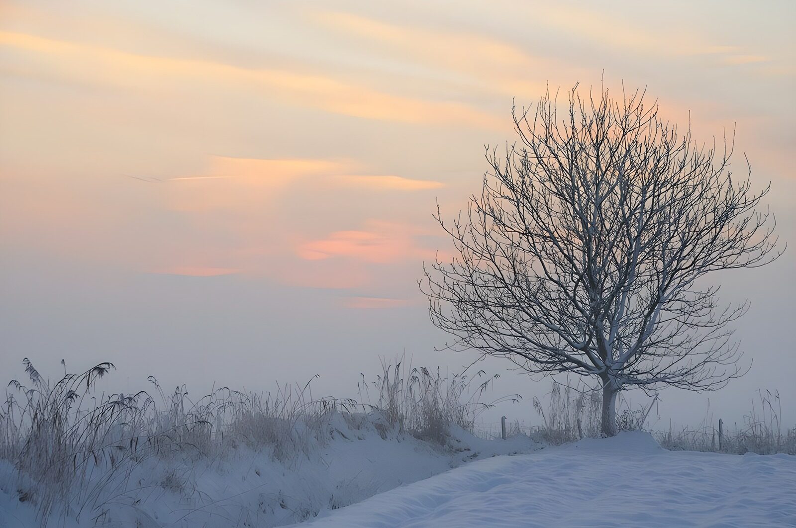 TPDE95614: ein nebliger Wintertag 