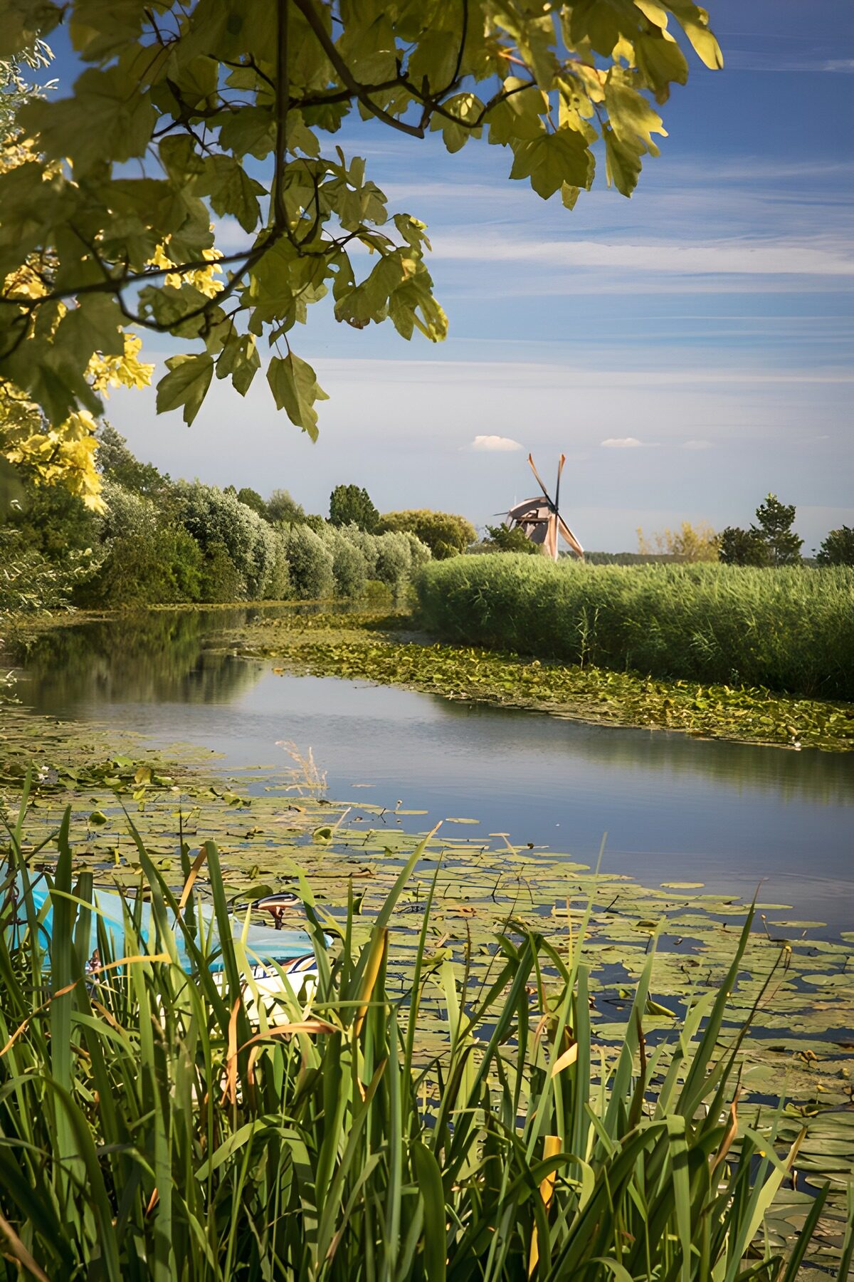 TPDE12324: idyllische Landschaft mit Mühle