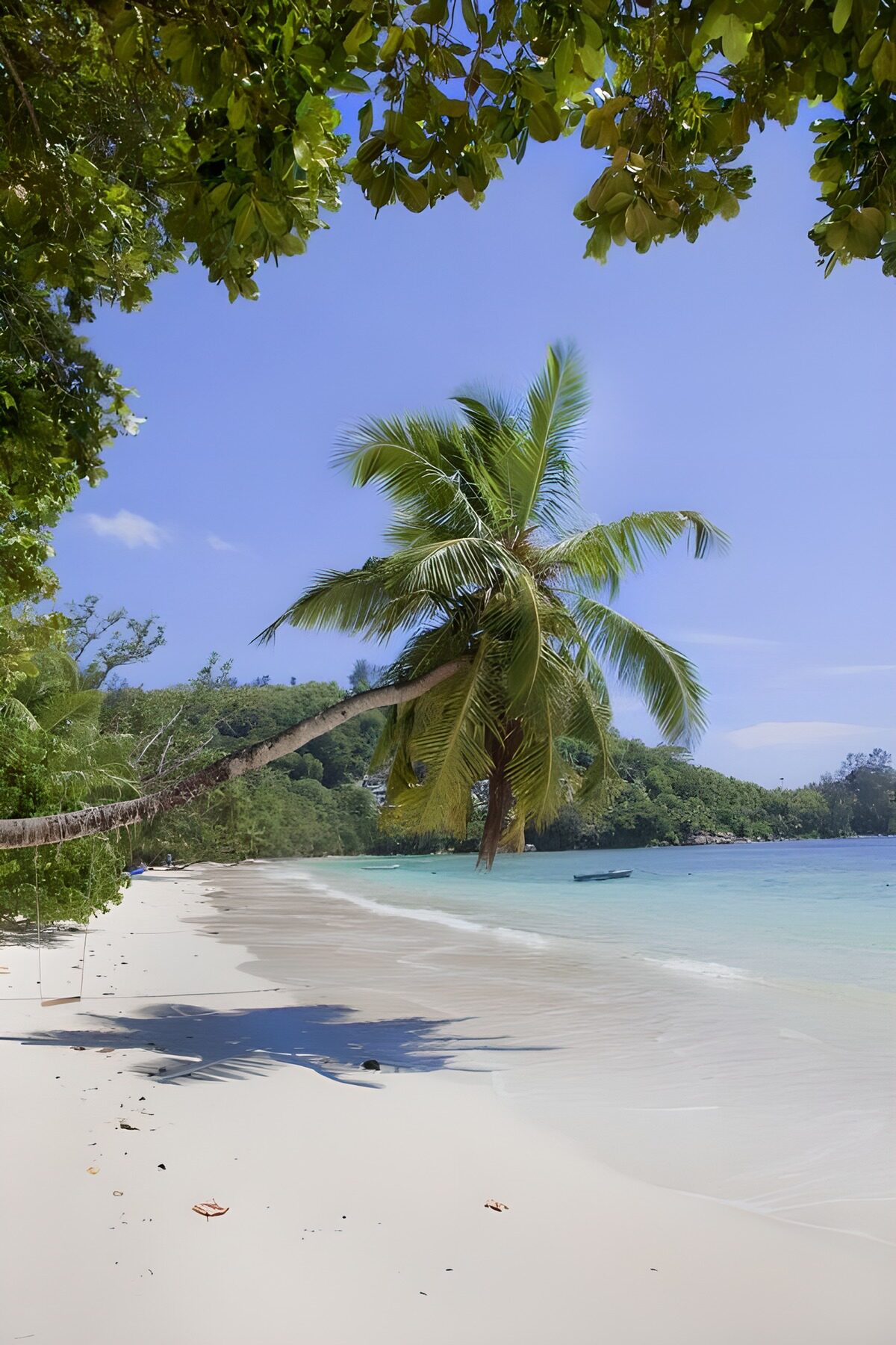 TPDE38297: immer grüne Vegetation auf Bali