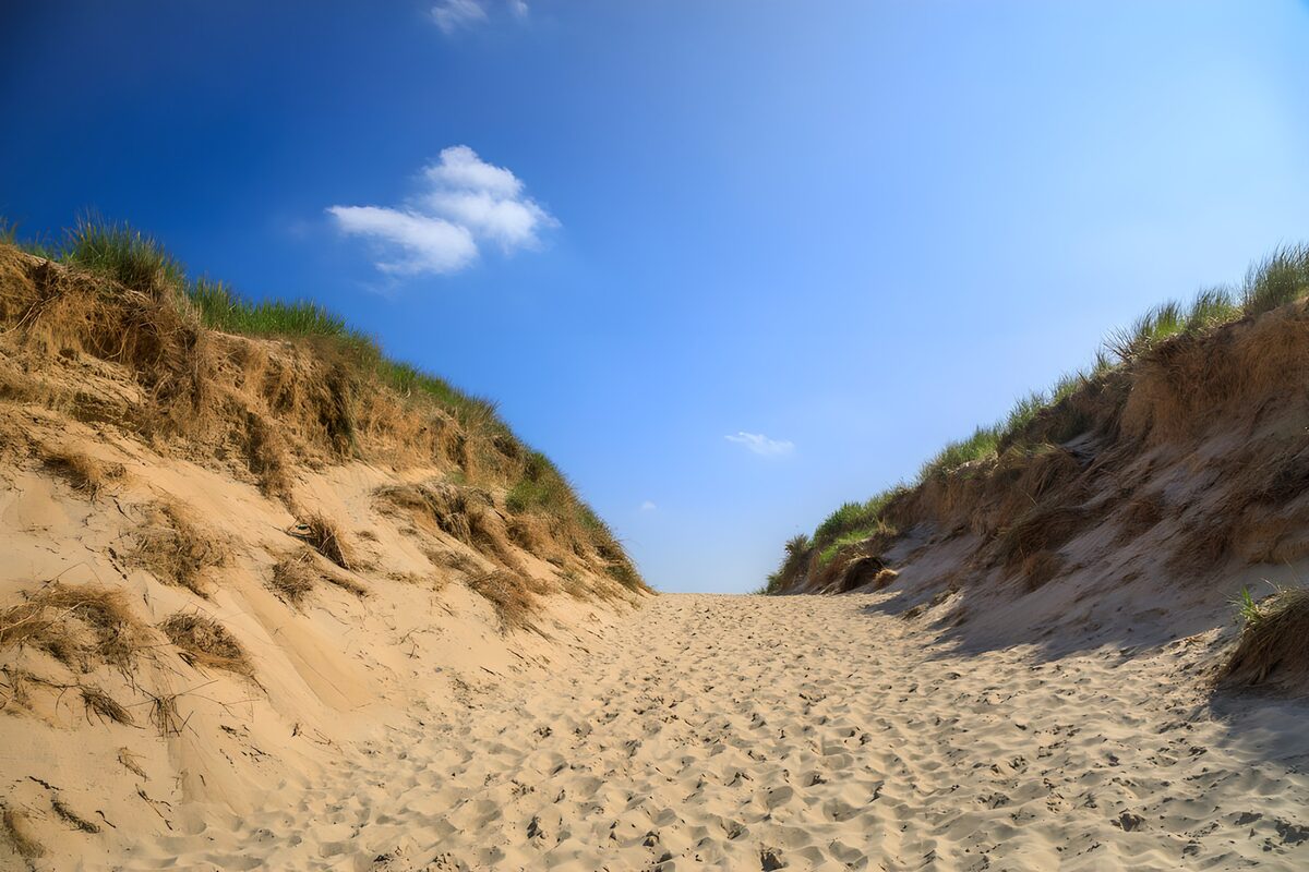 TPDE55490: Sandweg zwischen den Düne