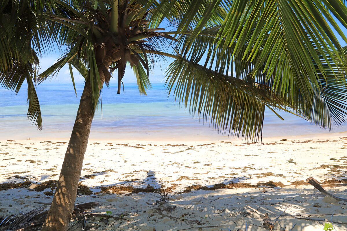 TPDE46437: Tropicales Paradies am Strand