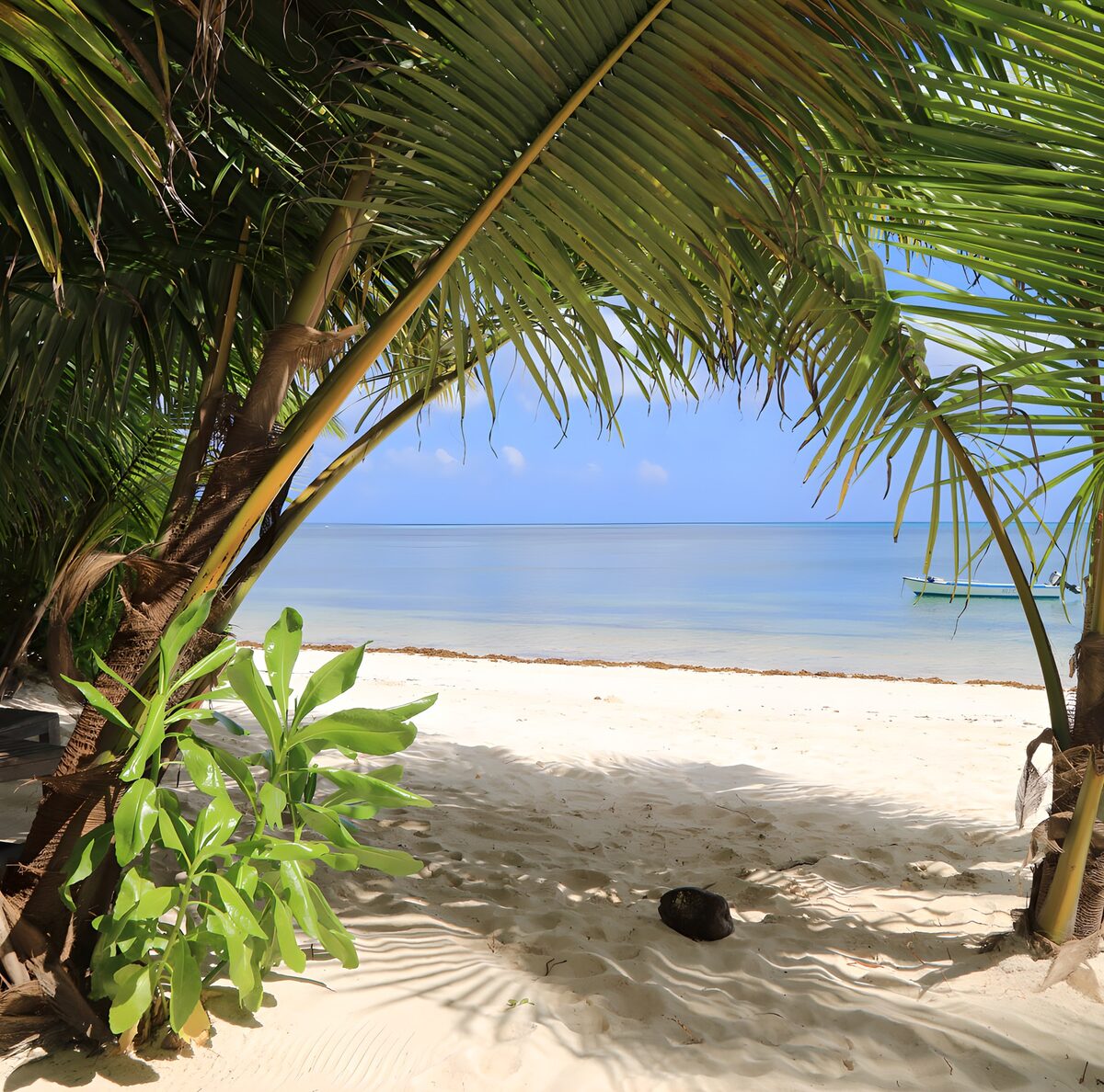 TPDE32601: Paradiesisches Strandpanorama