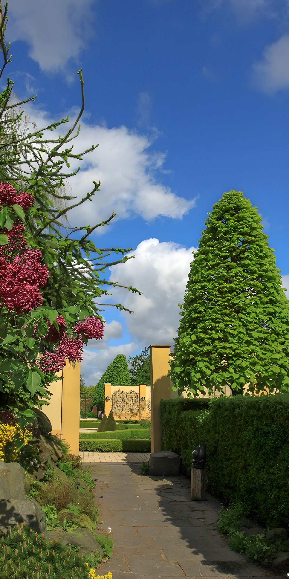 TPDE28467: Blühender Garten mit blauen Himmel