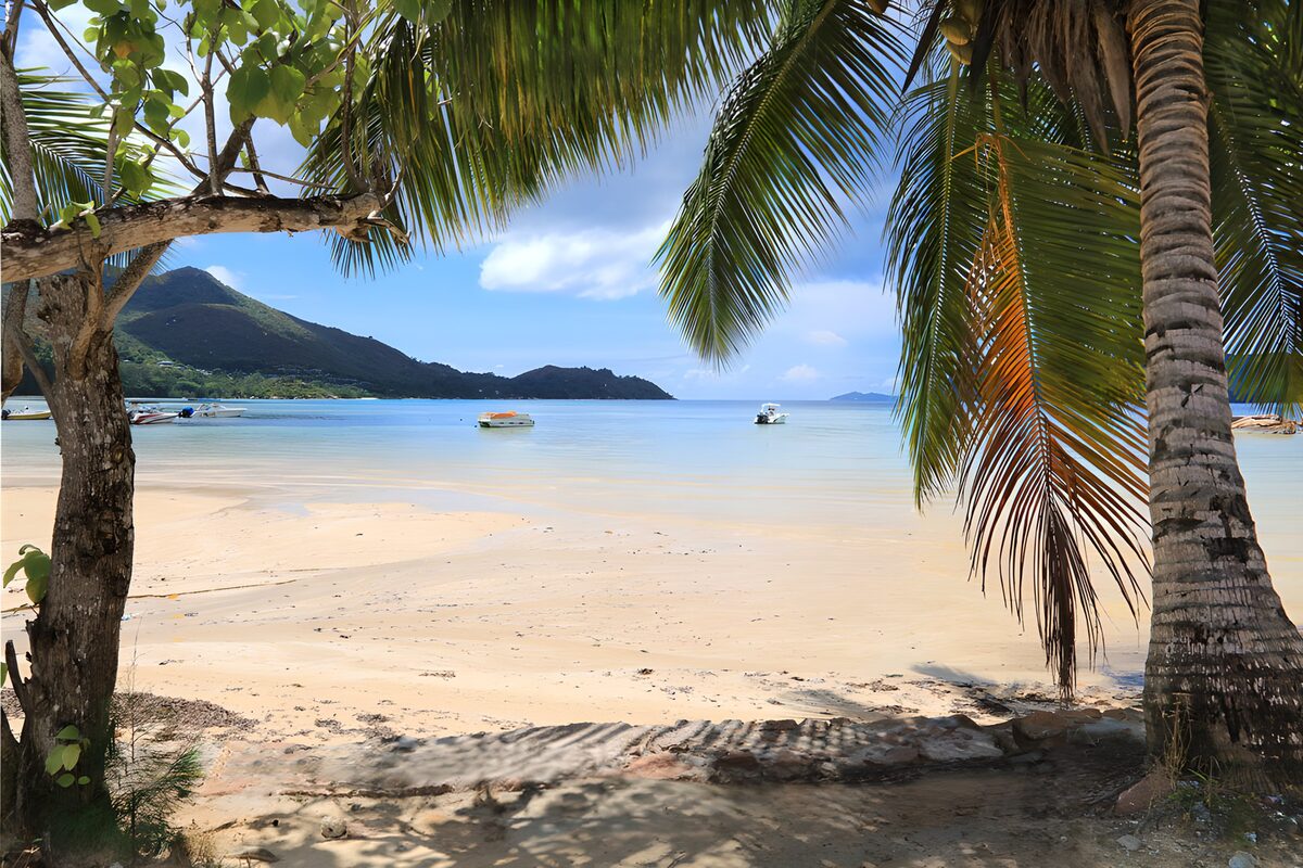 TPDE38823: Tropischer Strand mit Palmen und Booten