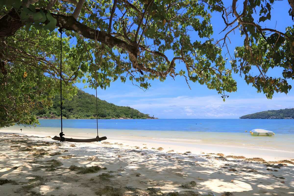 TPDE23190: Strand mit Hängematte unter dem Baum