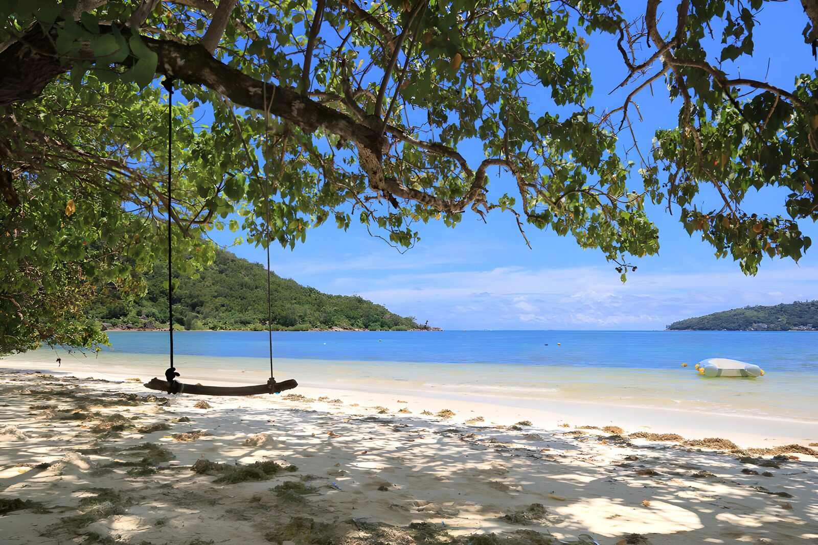 TPDE23190: Strand mit Hängematte unter dem Baum