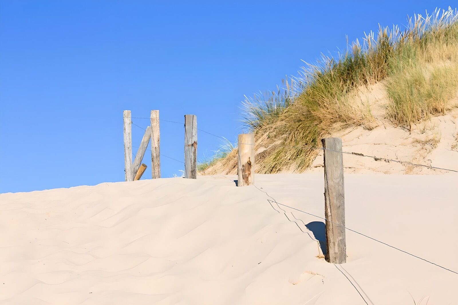 TPDE34506: Sandweg zum Strand auf Juist