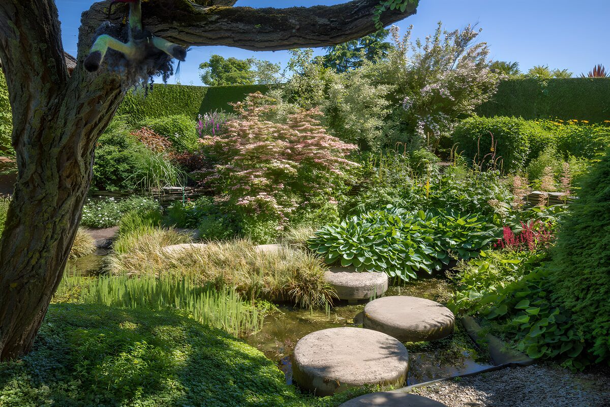 TPDE37498: Idylle im Garten