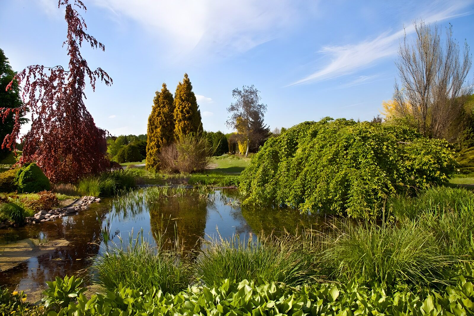 TPDE91415: Blick auf einen Teich in einem Park