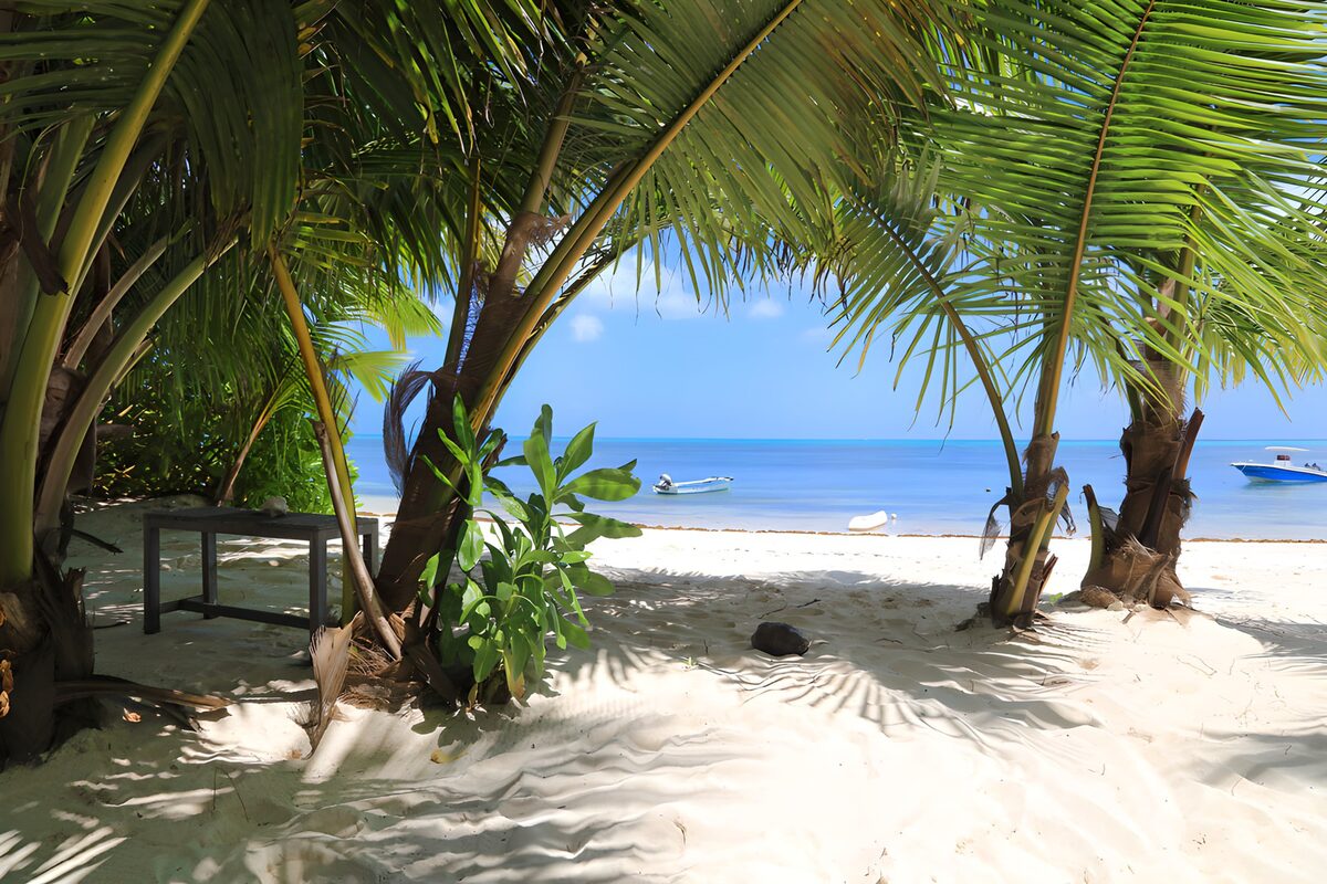 TPDE24723: Paradiesischer Strand unter Palmen