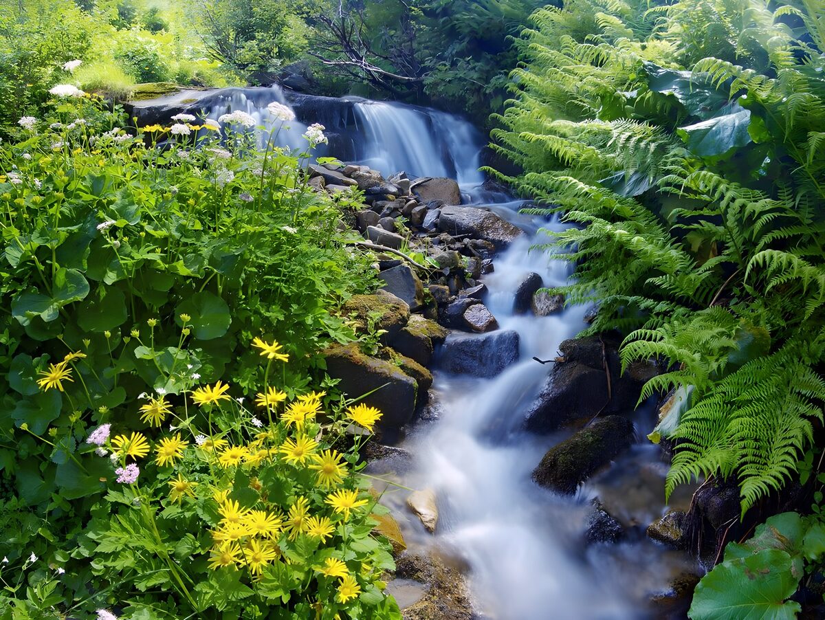 kraftvoller Wasserfall, der sich zwischen blühenden Pflanzen herunterstürzt