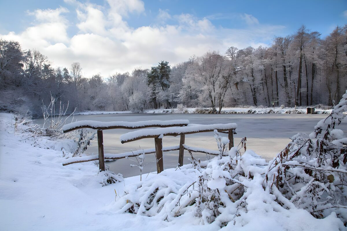 TPDE51675: Winterlandschaft am gefrorenen See