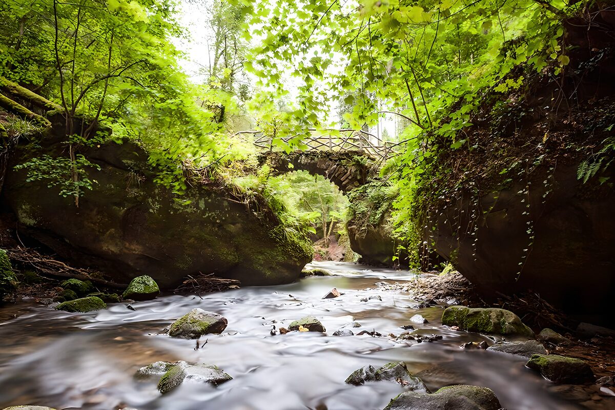 TPDE52172: steinerne Brücke über einem Bach unter grünen Bäumen