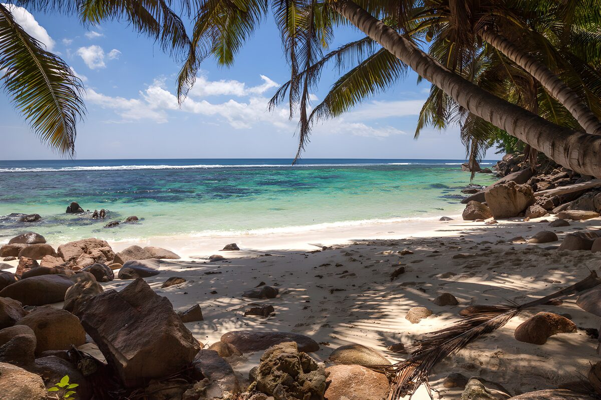 TPDE91166: Tropischer Strand mit Palmen und Felsen