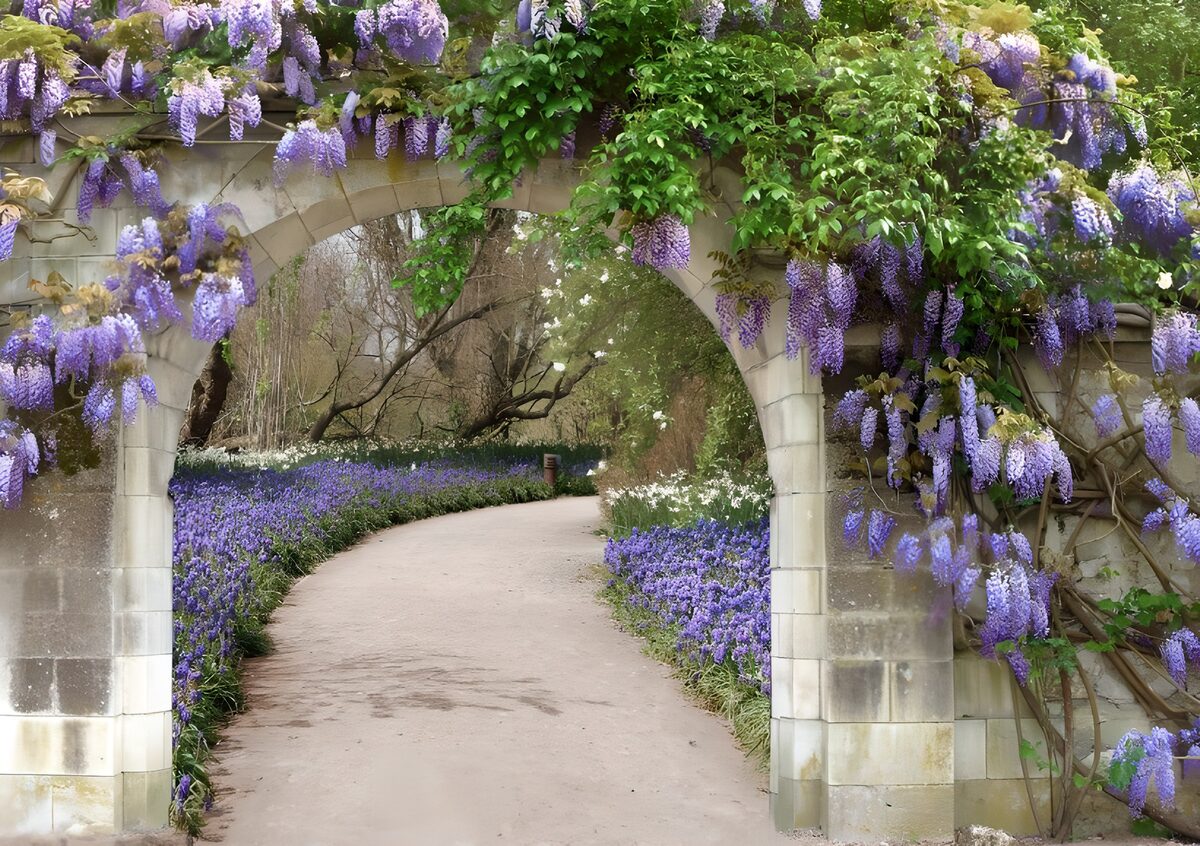 lila Blüten am Wegrand durch die Gartenanlagen von einem Schloß