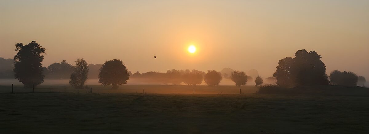 Landschaft im Nebel kurz vor Sonnenaufgang